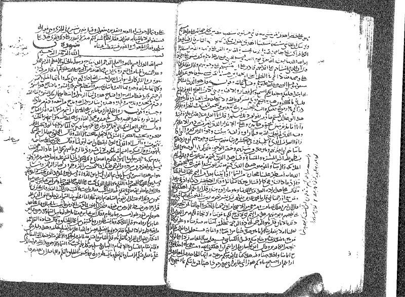  زیرنویس:
