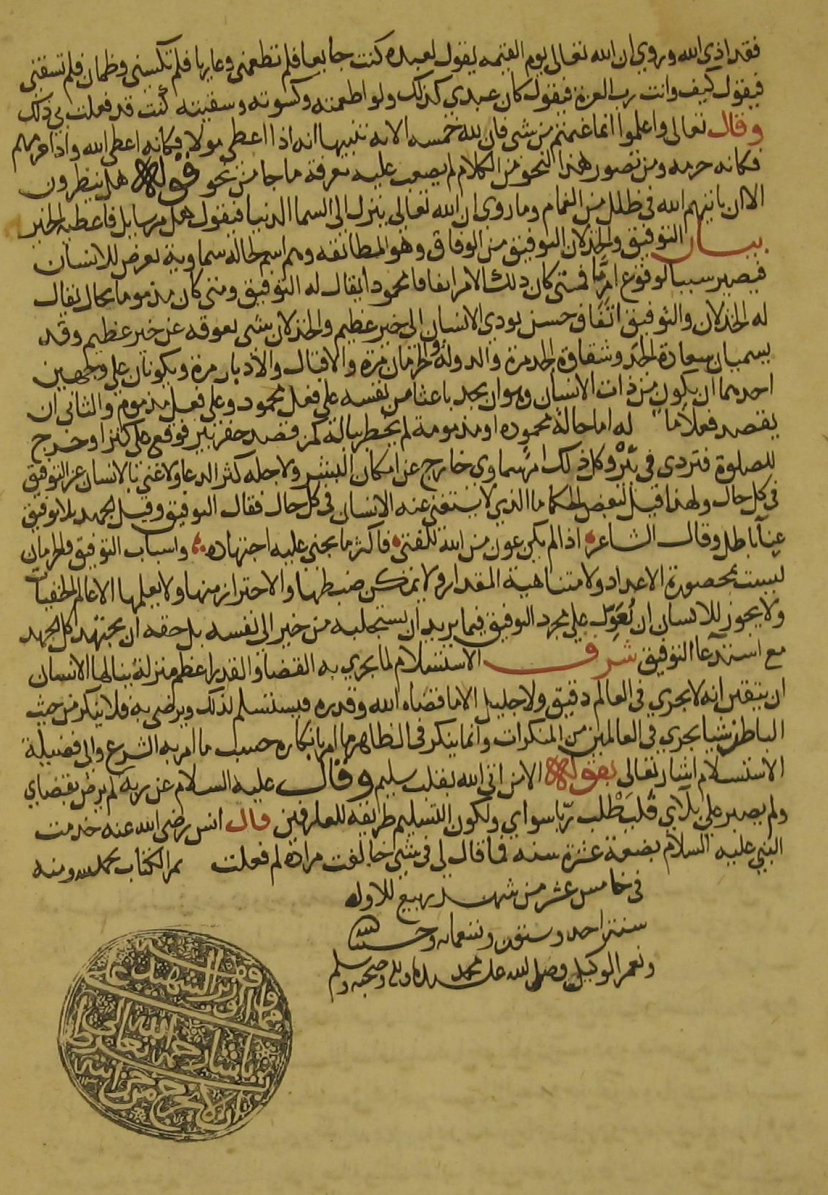 الصورة رقم: 2